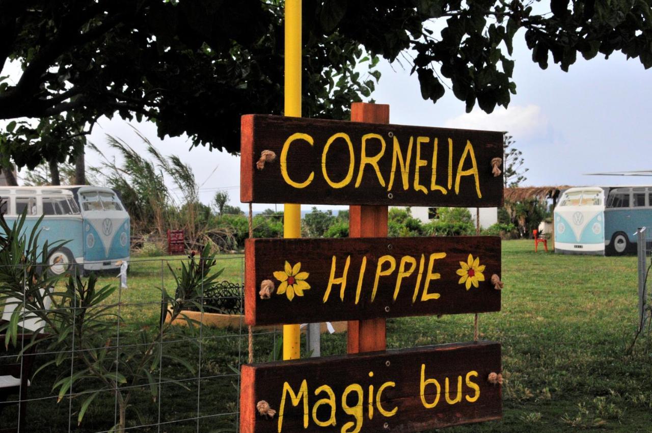 Villa Cornelia Hippie Magic Bus à Kíssamos Extérieur photo